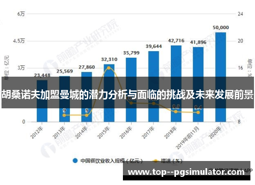 胡桑诺夫加盟曼城的潜力分析与面临的挑战及未来发展前景 胡桑诺夫加盟曼城的潜力分析与面临的挑战及未来发展前景