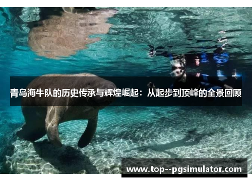 青岛海牛队的历史传承与辉煌崛起：从起步到顶峰的全景回顾