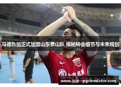 马德鲁加正式加盟山东泰山队 揭秘转会细节与未来规划 马德鲁加正式加盟山东泰山队 揭秘转会细节与未来规划