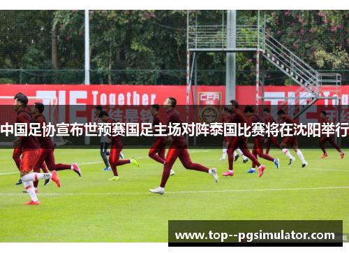 中国足协宣布世预赛国足主场对阵泰国比赛将在沈阳举行 中国足协宣布世预赛国足主场对阵泰国比赛将在沈阳举行